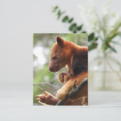 Tree Kangaroo Postcard Postkarte (Stehend Vorderseite)