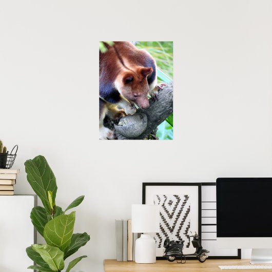 Tree Kangaroo Poster (Heimbüro)