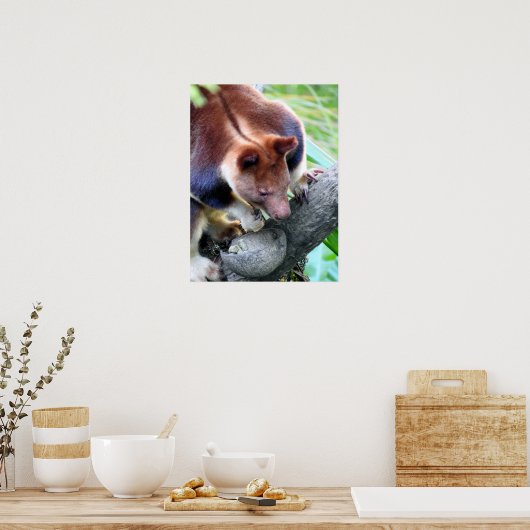 Tree Kangaroo Poster (Küche)