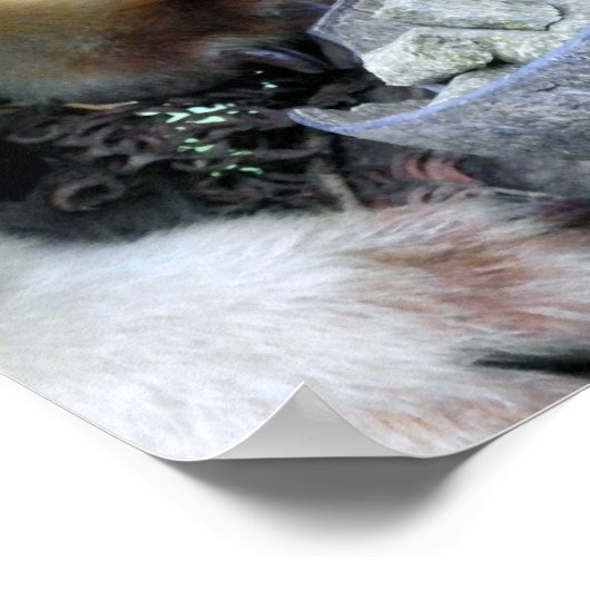 Tree Kangaroo Poster (Ecke)