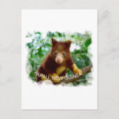 Tree Kangaroo Postkarte (Vorderseite)