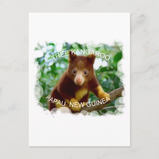 Tree Kangaroo Postkarte (Vorderseite)