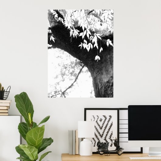 Tree l Still Nature l Fotografy Poster (Heimbüro)