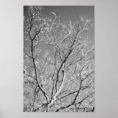 Tree Lace von E.A. Schneider Poster (Vorne)