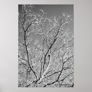 Tree Lace von E.A. Schneider Poster