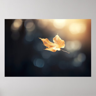 Tree Leaf Forest Nature Serene Tranquil Poster