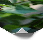 Tree Leaf Poster (Ecke)