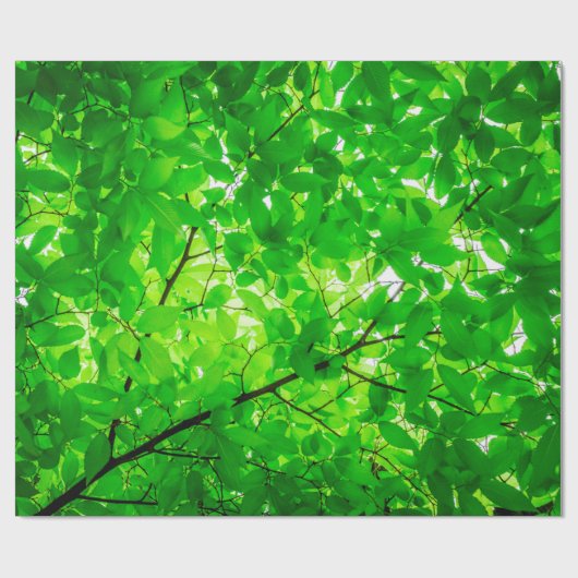 Tree leaf twig texture pattern geschenkpapier (Flach)