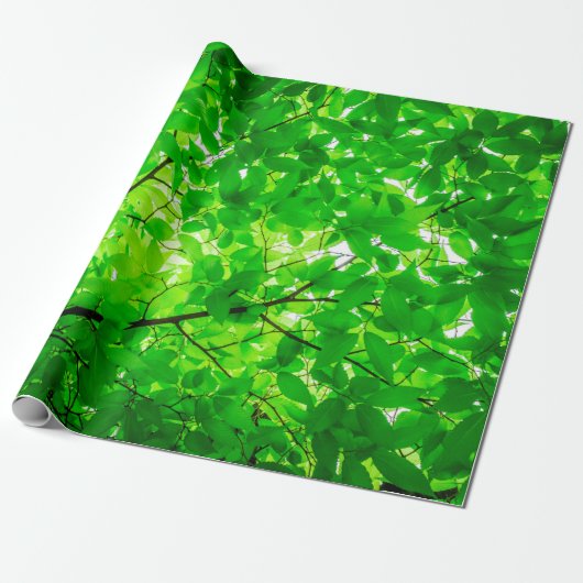Tree leaf twig texture pattern geschenkpapier (Ungerollt)