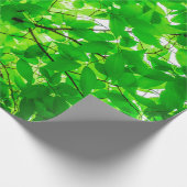 Tree leaf twig texture pattern geschenkpapier (Ecke)