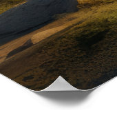 Tree Life Verzauberung Stille Natur Poster (Ecke)