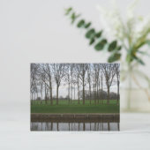 Tree Line Canal Postcard Postkarte (Stehend Vorderseite)