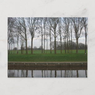 Tree Line Canal Postcard Postkarte