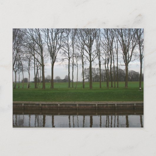 Tree Line Canal Postcard Postkarte (Vorderseite)