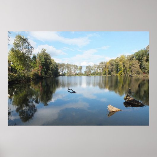 Tree Lined Lake Poster (Vorne)