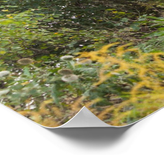 Tree-lined Path in Autumn Poster (Ecke)