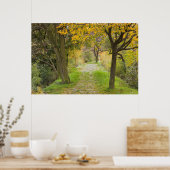 Tree-lined Path in Autumn Poster (Küche)