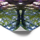 Tree Magic Poster 20" x 20" (Ecke)
