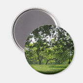 Tree Magnet (Vorderseite/Rückseite)