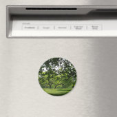 Tree Magnet (In Situ (Geschirrspüler))