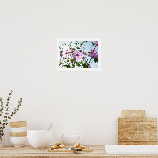 Tree Mallow Blooms in Summer Poster (Küche)