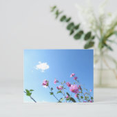 Tree Mallow in Bloom Postkarte (Stehend Vorderseite)