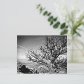 Tree mit Postkarte (Stehend Vorderseite)
