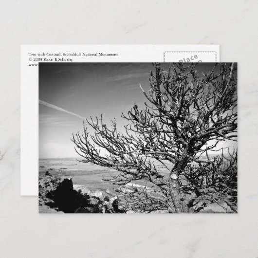 Tree mit Postkarte (Vorne/Hinten)