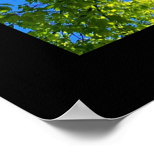 Tree mit Spring Blätter Poster (Platz) (Ecke)