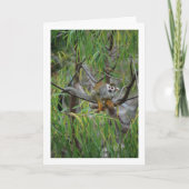 Tree Monkey Karte (Vorderseite)