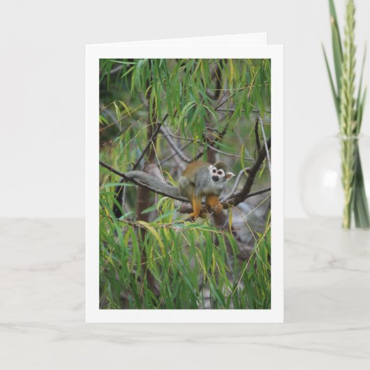 Tree Monkey Karte (Vorderseite)