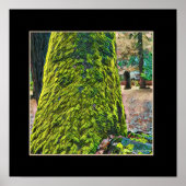 Tree Moss Poster (Vorne)