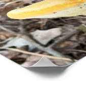 Tree Mushroom Poster (Ecke)