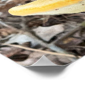 Tree Mushroom Poster (Ecke)