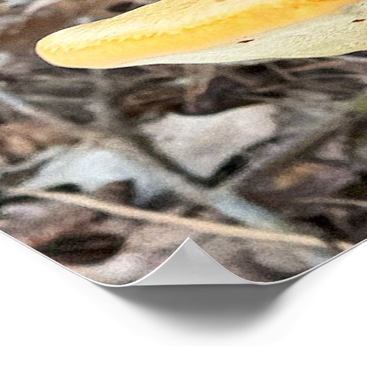 Tree Mushroom Poster (Ecke)