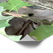 Tree Mushroom Poster (Ecke)