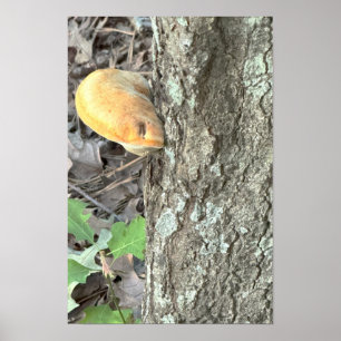 Tree Mushroom Poster