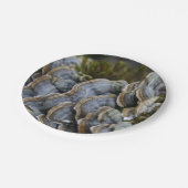 Tree Mushrooms Foto Paper Teller (Schrägansicht)