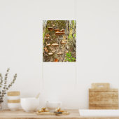 Tree Mushrooms Foto Poster (Küche)