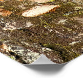 Tree Mushrooms Foto Poster (Ecke)