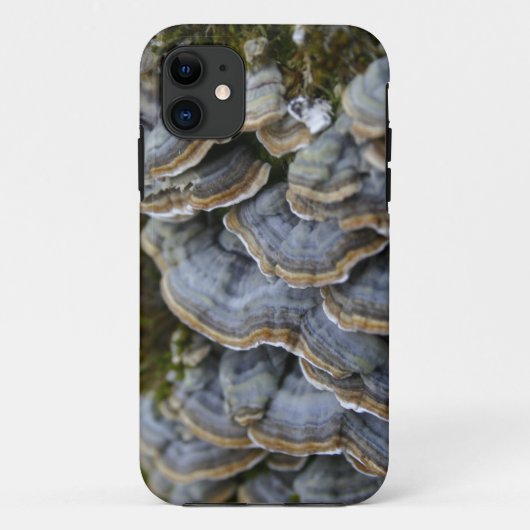 Tree Mushrooms Telefongehäuse, iPhone SE + iPhone Case-Mate iPhone Hülle (Rückseite)