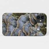 Tree Mushrooms Telefongehäuse, iPhone SE + iPhone Case-Mate iPhone Hülle (Rückseite (Horizontal))