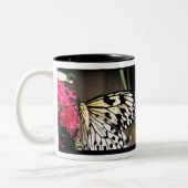 Tree Nymph Butterfly Tasse (Links)