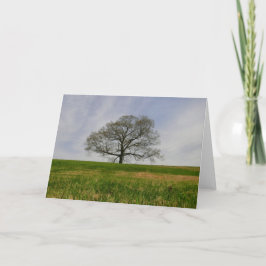 Tree of life Card Karte