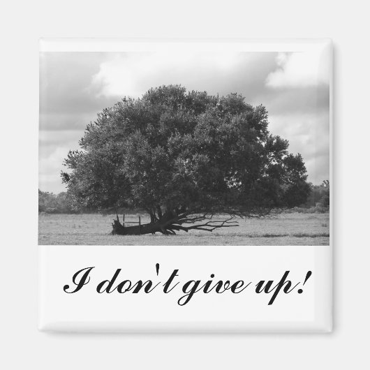 Tree of Life Square Magnet (Vorne)