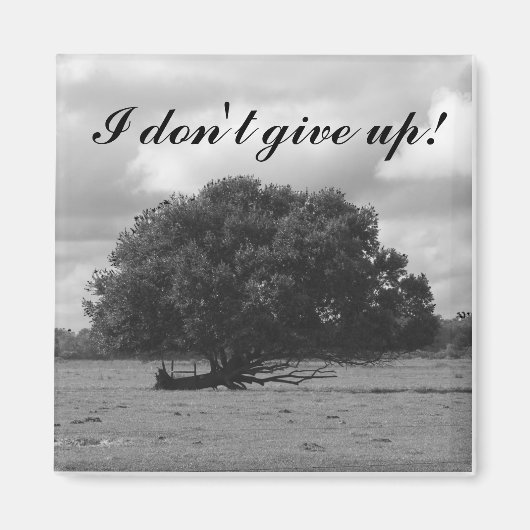 Tree of Life Square Magnet (Vorne)