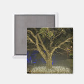 Tree of Lights Magnet (Vorderseite/Rückseite)