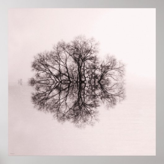 Tree of Reflection 2 Art Poster Print (Vorne)