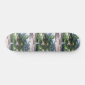 Tree of Wisdom Skateboard (Horizontal)