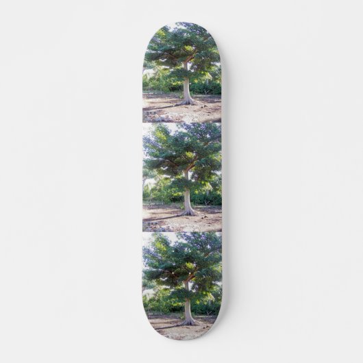 Tree of Wisdom Skateboard (Vorne)